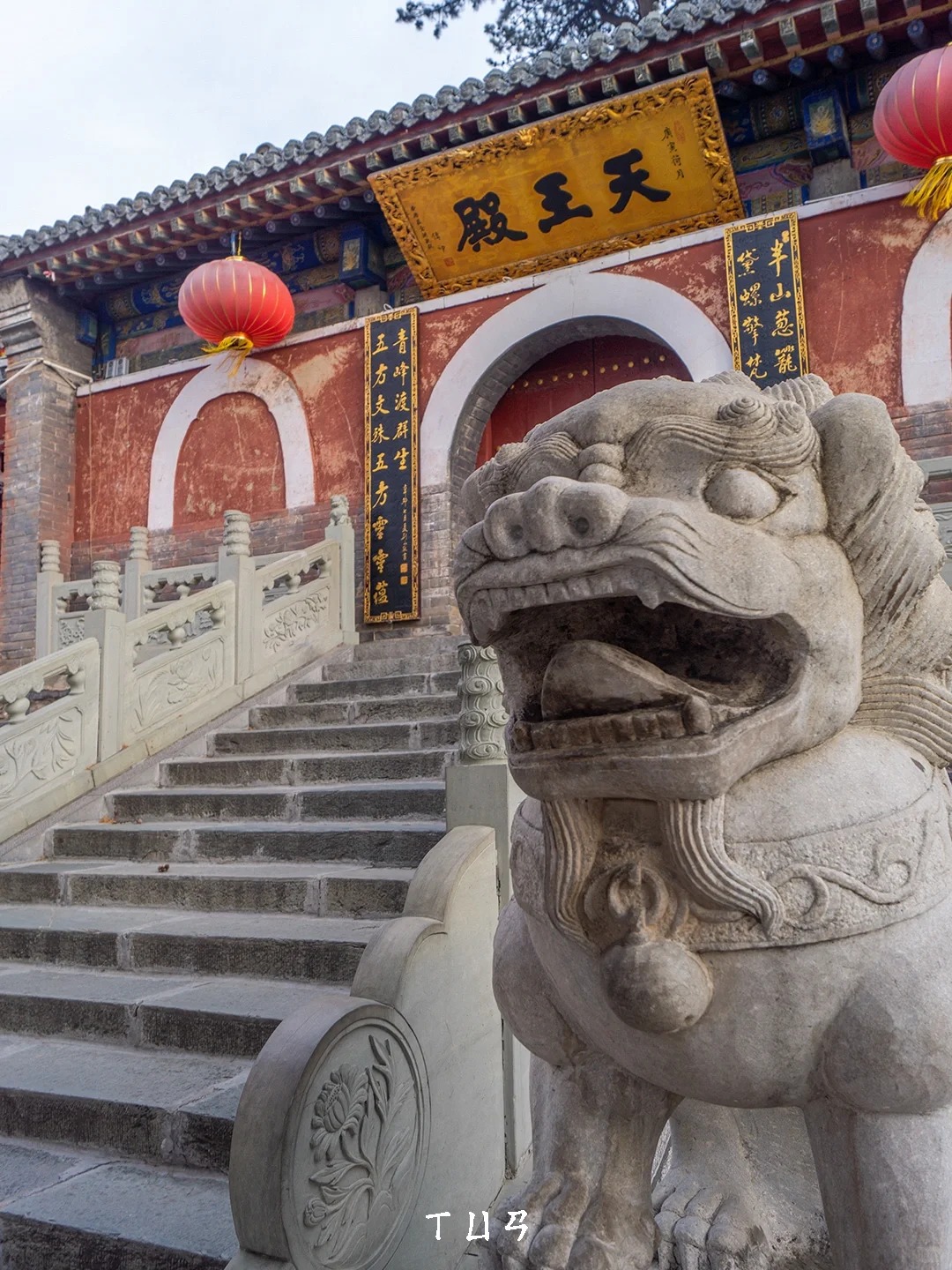 旅行社测评